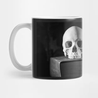 The Librarian Mug